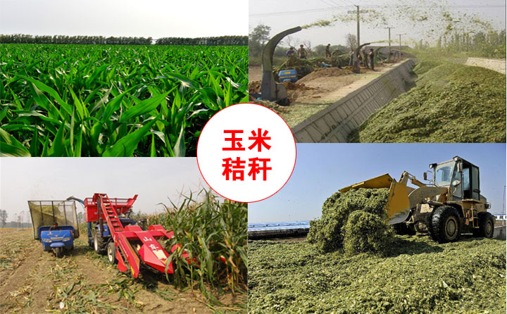 原材料來源 原材料來源