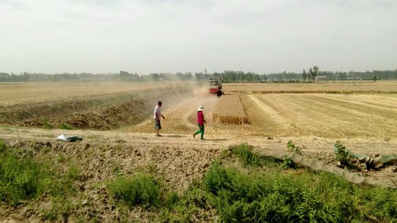 秸稈顆粒機(jī)助力秸稈禁燒 秸稈顆粒機(jī)助力秸稈禁燒