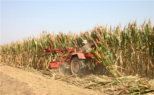 生物質顆粒機設備成型燃料研究現(xiàn)狀及進展 生物質顆粒機設備成型燃料研究現(xiàn)狀及進展