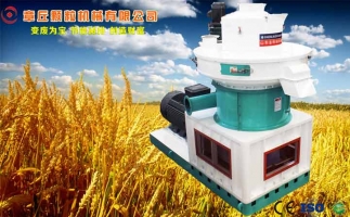 中國(guó)創(chuàng)新提速，綠色經(jīng)濟(jì)之離心高效環(huán)模顆粒機(jī)