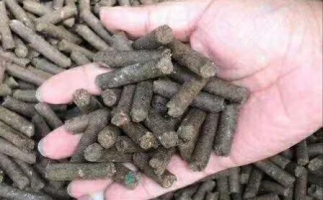 水果渣越來越受歡迎，因為它的出現(xiàn)—生物質(zhì)顆粒機設備