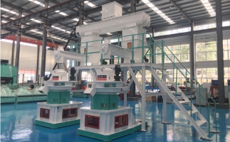 1噸的生物顆粒多少利潤？木屑顆粒機生產(chǎn)廠家分析其成本