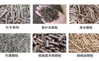 木屑顆粒機多少錢及發(fā)展趨勢如何？看這里