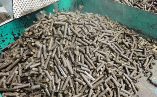 木屑顆粒機(jī)生物質(zhì)燃料顆粒在燃燒時(shí)遇到冒黑煙的情況該怎么辦？