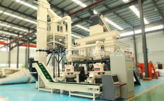 辦木屑顆粒燃料廠需要準備哪些工作？山東顆粒機廠家和您說說